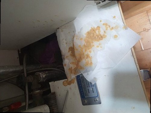 수영구 망미1동 하수구막힘 정화조 역류 왜 반복될까, 원인은 무엇일까?